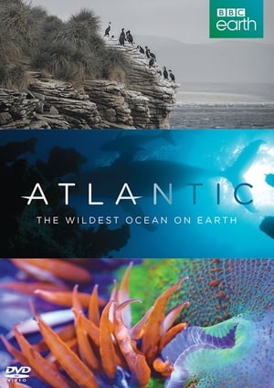 Poster Atlantic: The Wildest Ocean on Earth 2015