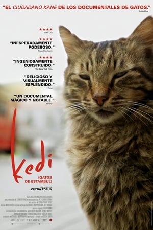 Poster Kedi (Gatos de Estambul) 2017