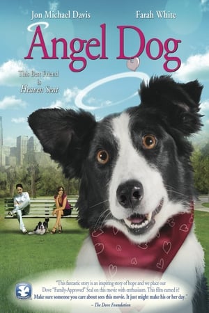 Poster Angel Dog 2011