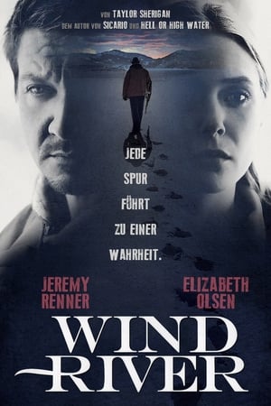 Poster Wind River 2017