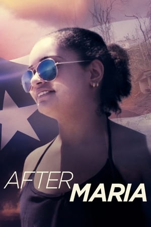 Poster Après Maria 2019