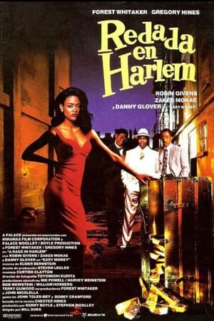 Poster Redada en Harlem 1991