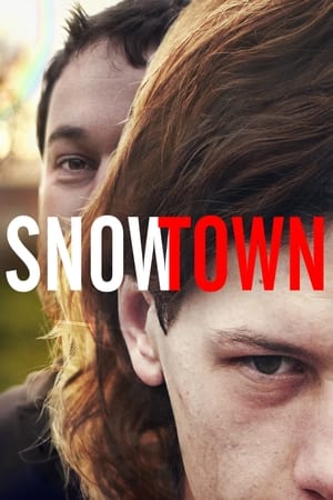 Poster Snowtown 2011