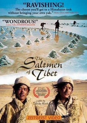 Image Die Salzmänner von Tibet