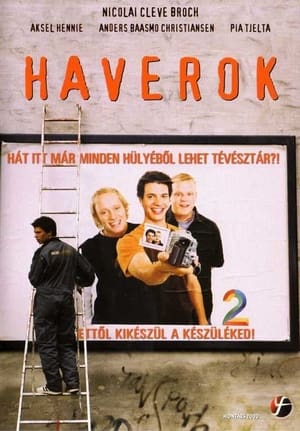 Poster Haverok 2003