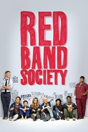Poster Red Band Society 2014