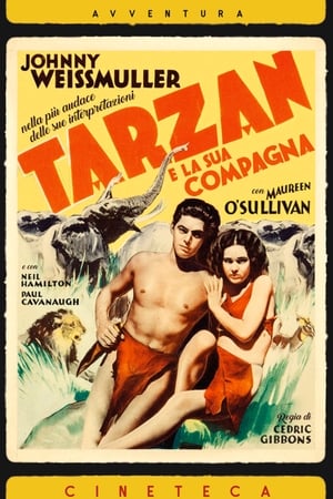 Poster Tarzan e la compagna 1934