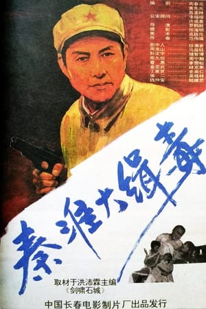 Poster 秦淮大缉毒 1993