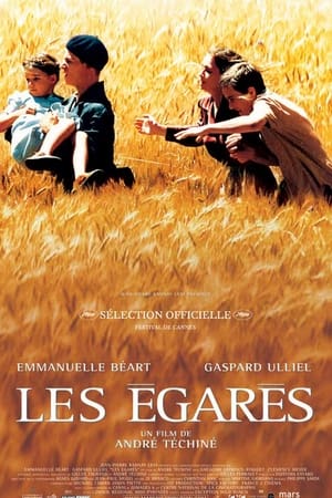 Poster Les égarés 2003