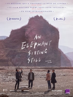 Poster An Elephant Sitting Still 2018
