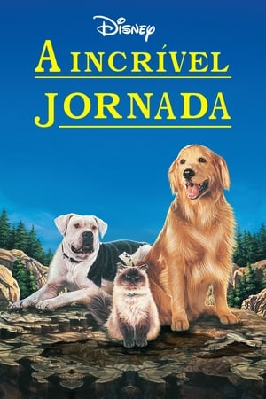 Poster Homeward Bound: The Incredible Journey 1993