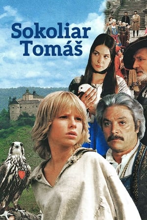 Poster Sokoliar Tomáš 2000