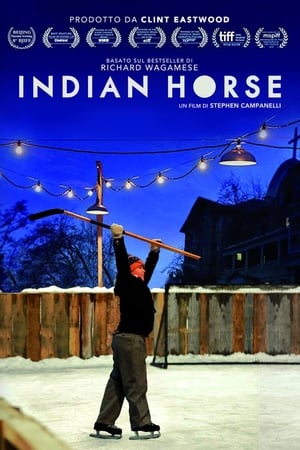 Image Indian Horse