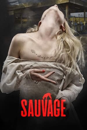 Poster Sauvage 2016