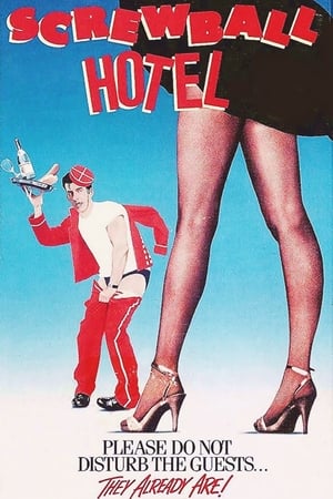 Poster Lío en el Gran Hotel 1988