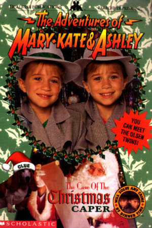 Image The Adventures of Mary-Kate & Ashley: The Case of the Christmas Caper