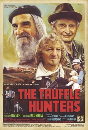 Poster The Truffle Hunters 2020
