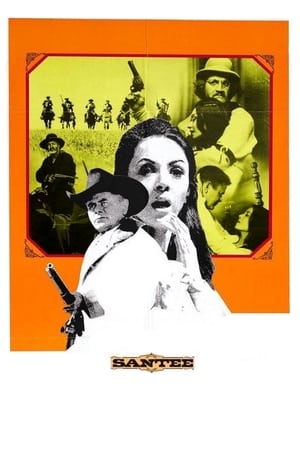 Poster Santee 1973