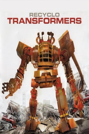 Image Recyclo Transformers
