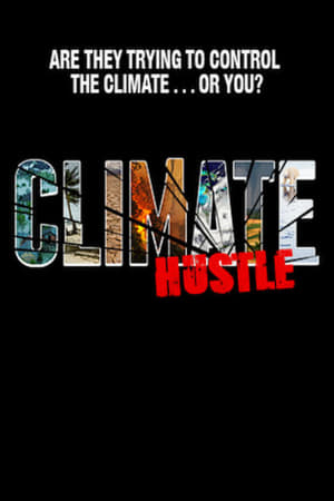 Poster Climate Hustle 2016
