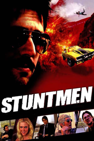 Poster Stuntmen 2009