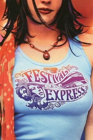 Poster Festival Express 2003