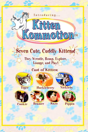 Image Kitten Kommotion