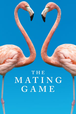 Poster The Mating Game 2021