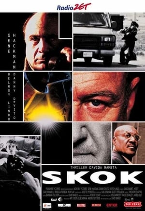Poster Skok 2001