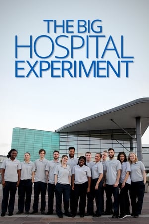 Poster The Big Hospital Experiment 2019