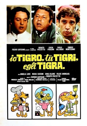 Poster Io tigro, tu tigri, egli tigra 1978