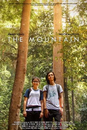 Poster The Mountain 2017