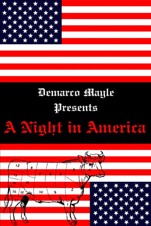 Image A Night in America