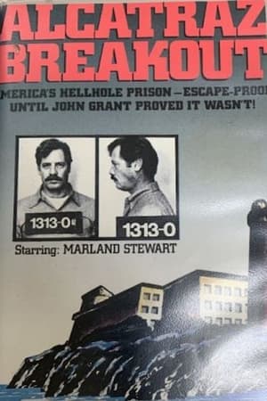 Poster Alcatraz Breakout 1980
