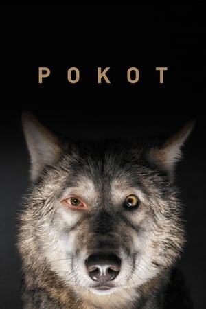 Poster Pokot 2017