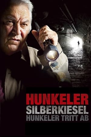Image Silberkiesel - Hunkeler tritt ab