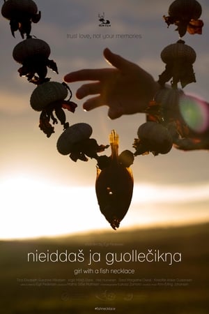 Poster Nieiddas ja guollecikna 2017