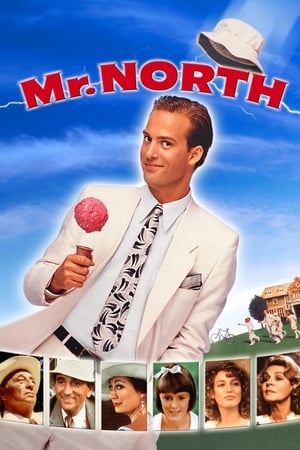 Poster Mr. North 1988