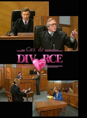 Poster Cas de divorce 1991