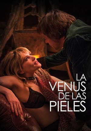 Poster La Venus de las pieles 2013