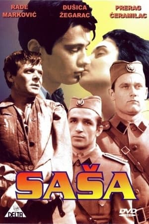 Poster Saša 1962
