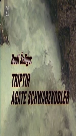 Image Triptych of Agata Schwarzkobler