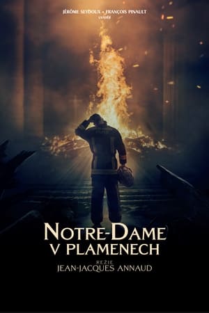 Image Notre-Dame v plamenech