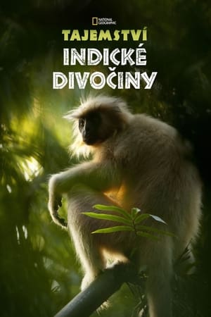 Poster Secrets of Wild India 2012