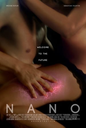 Poster Nano 2017