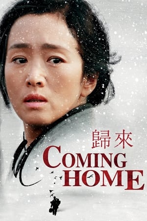 Poster Coming Home 2014