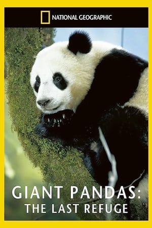 Poster Giant Pandas: The Last Refuge 1994