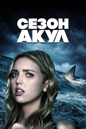 Poster Сезон акул 2020