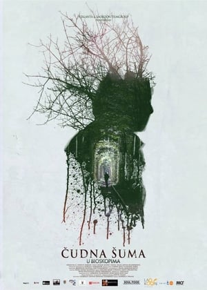 Poster Čudna šuma 2014