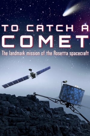 Image To Catch a Comet